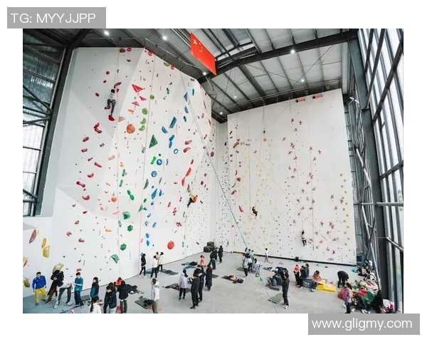 南京攀岩队在全国个人能力排行榜中荣获第三名展现实力与潜力