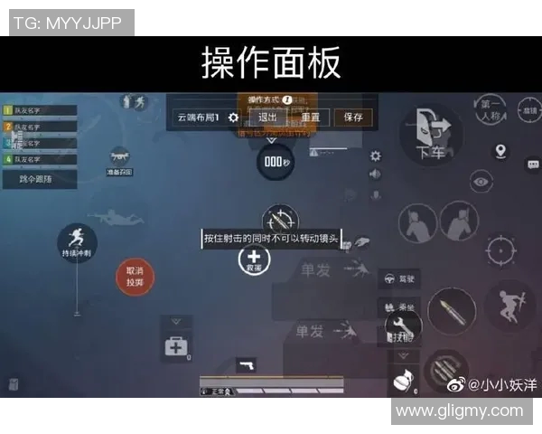 和平精英专题深度解析WE战队的实力与战术布局