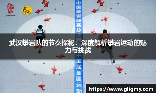 武汉攀岩队的节奏探秘：深度解析攀岩运动的魅力与挑战