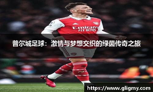 普尔城足球：激情与梦想交织的绿茵传奇之旅